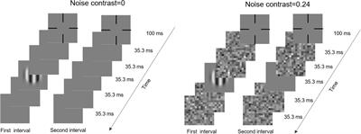 The Effect of Bangerter Filters on Visual Acuity and Contrast Sensitivity With External Noise